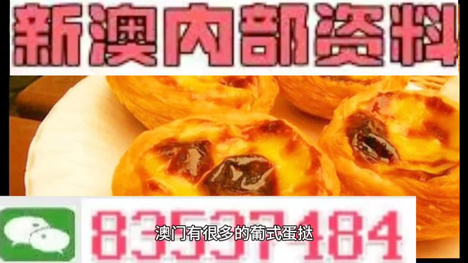 探索未來(lái)，2025新澳最新版精準(zhǔn)特色解析，探索未來(lái)，揭秘新澳最新版精準(zhǔn)特色解析（2025版）