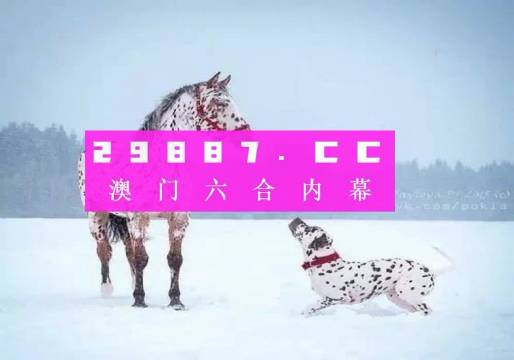 澳門一肖一碼狀元紅，揭秘彩票背后的秘密與策略，澳門彩票揭秘，狀元紅背后的秘密與策略解析