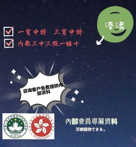 新澳王中王一肖一特一中，探索與解析，新澳王中王一肖一特一中，深度探索與解析