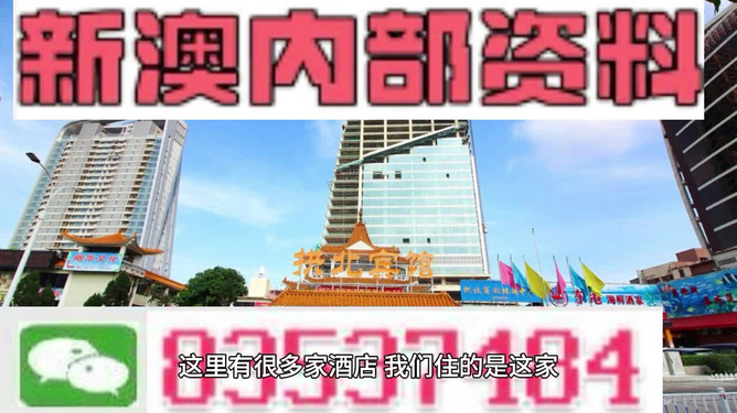 芳草地澳門精準(zhǔn)資料大全——探索澳門的魅力與精華，澳門魅力與精華探索，芳草地澳門精準(zhǔn)資料大全