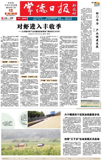 揭秘彩票背后的秘密，精準(zhǔn)四肖選擇策略與技巧，揭秘彩票背后的秘密，精準(zhǔn)四肖選擇策略與技巧揭秘
