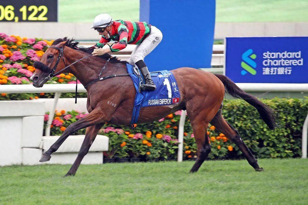 香港賽馬會，探索賽馬運動的魅力與傳奇的7777788888賽道故事，香港賽馬會，探索賽馬運動的魅力與傳奇賽道故事——7777788888賽道之旅