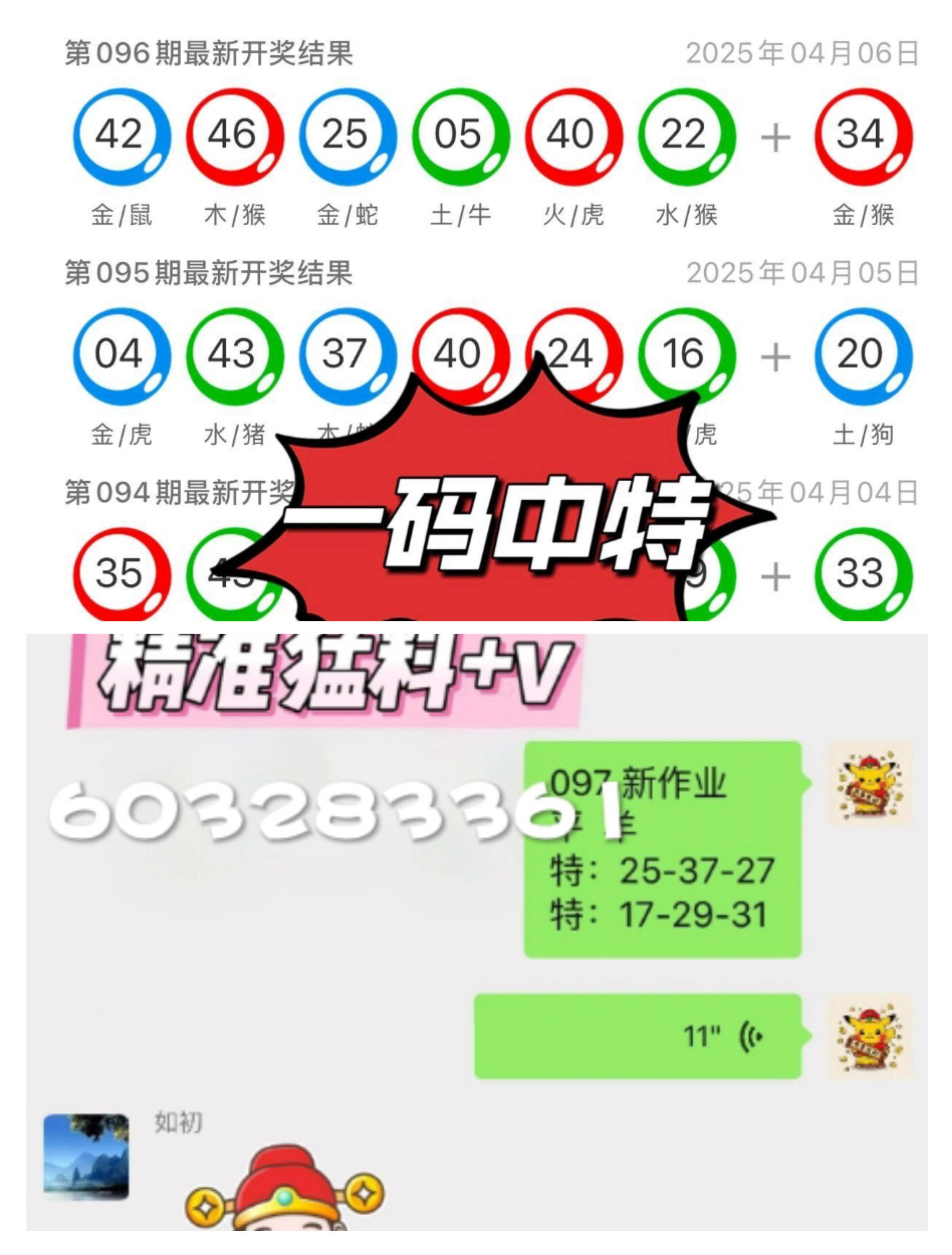 白小姐精選四肖八碼最新版本，揭秘與解析，白小姐精選四肖八碼最新揭秘與解析概覽