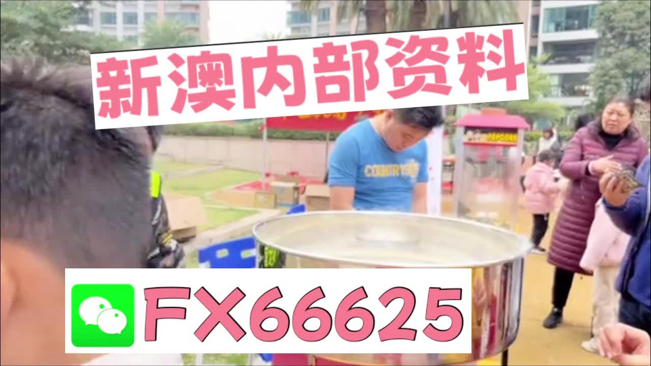 新澳天天彩資料大全最新版本陽肖，探索與策略，新澳天天彩資料大全最新版本陽肖，探索與策略揭秘