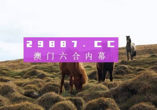 今晚澳門9點35分的彩票開獎，期待與驚喜交織的時刻，澳門今晚9點35分彩票開獎，期待與驚喜交匯的時刻