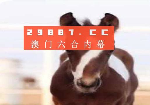 澳門一肖一碼一待一中資料，深度解析與探索，澳門一肖一碼深度解析與探索揭秘資料