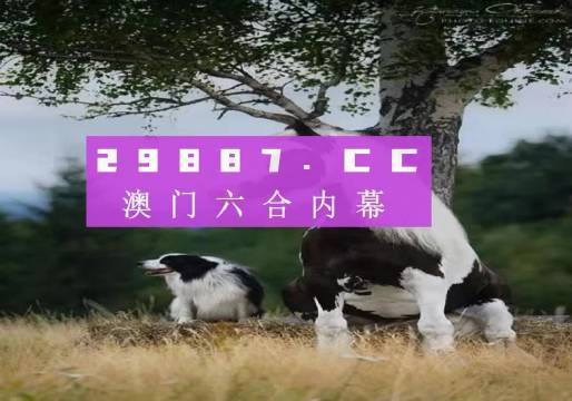 澳門天天空彩官網資料，探索彩票世界的門戶，澳門天天空彩官網資料，彩票世界探索門戶