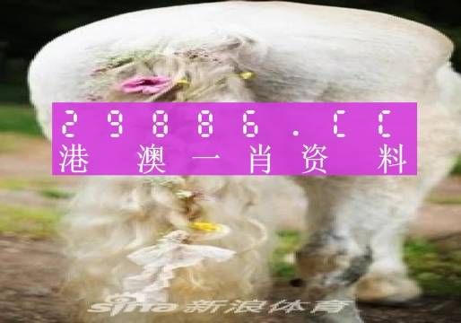 澳門羊了個羊與各大圖庫的資料揭秘，2023年澳門今晚必中一肖一碼永久免費資料庫大解密，澳門羊了個羊與資料庫揭秘，2023年必中一肖一碼永久免費資料大解密