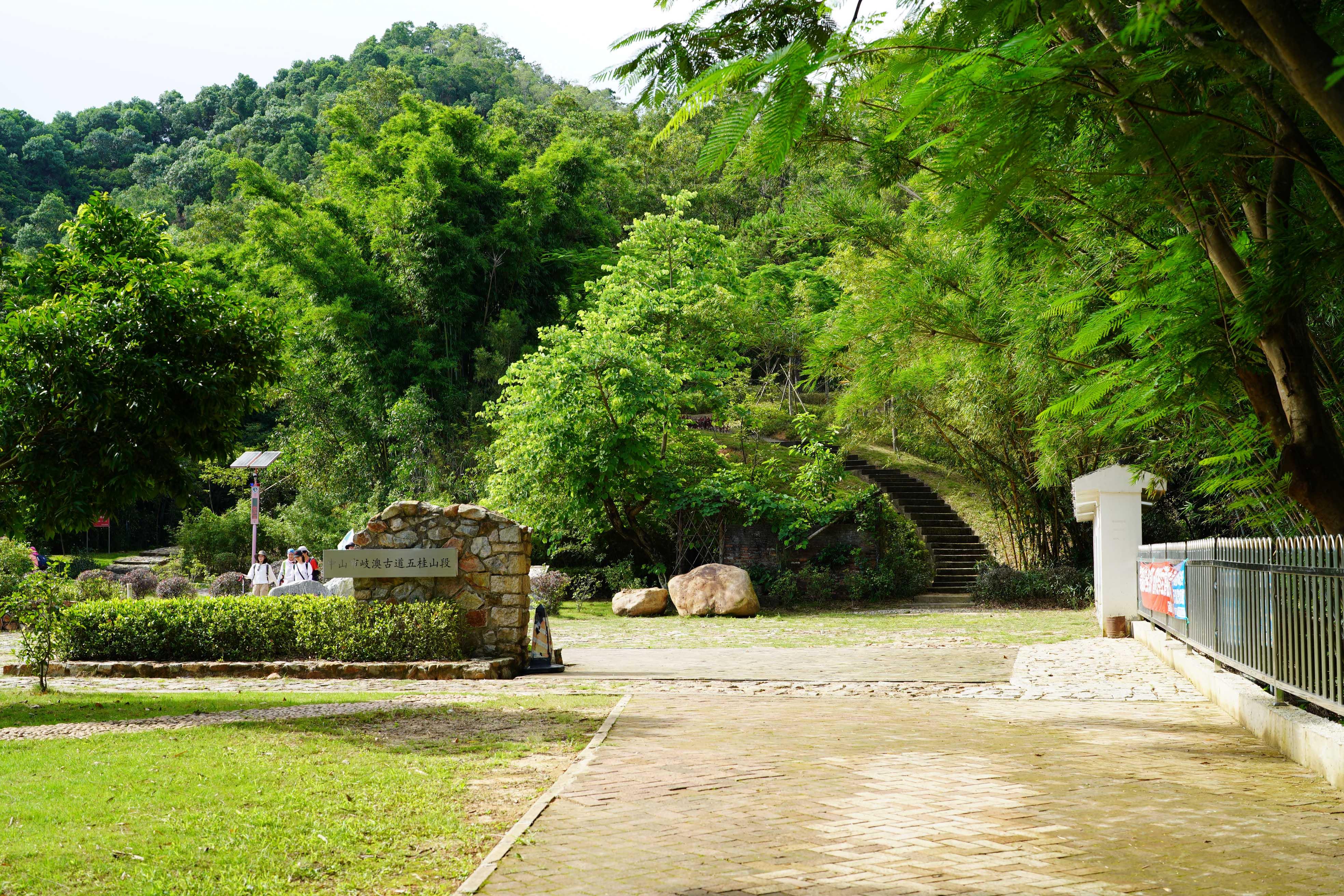新澳門彩生肖走勢圖，探索與解讀彩票背后的秘密，探索解讀新澳門彩生肖走勢圖，彩票背后的秘密揭秘