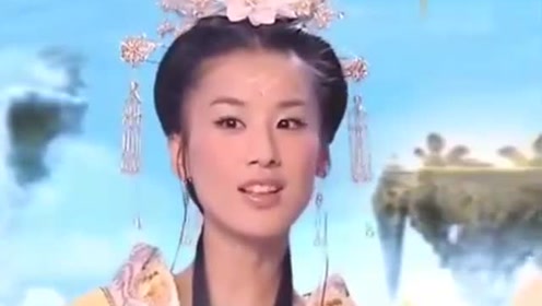 曾道道人資料免費大全，深度探索與解析，曾道道人資料深度解析與免費大全探索