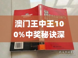 新澳門(mén)王中王期期中，探索與解析，新澳門(mén)王中王期期中，深度探索與解析