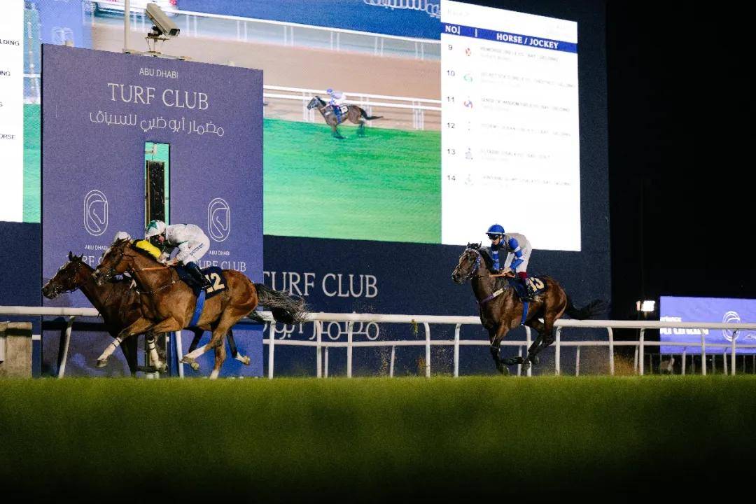 澳門特馬今晚開獎一，探索彩票背后的秘密與期待，澳門特馬今晚開獎，揭秘彩票背后的秘密與期待大獎的激動心情