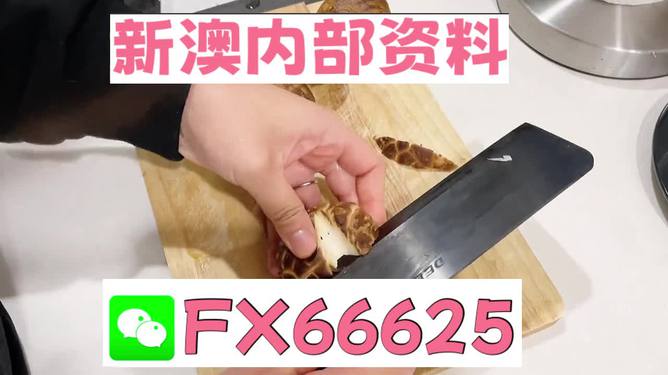 澳門九點(diǎn)半9點(diǎn)半網(wǎng)站——探索其魅力與優(yōu)勢(shì)，澳門九點(diǎn)半網(wǎng)站，魅力與優(yōu)勢(shì)探索