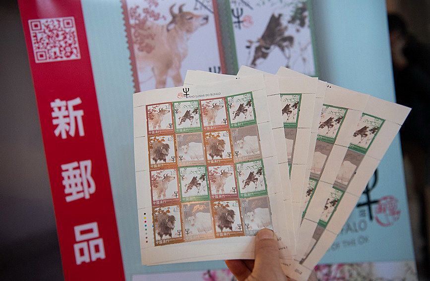 澳門(mén)值日生肖600圖庫(kù)與八百圖庫(kù)開(kāi)獎(jiǎng)，探索生肖圖庫(kù)的魅力與奧秘，澳門(mén)生肖圖庫(kù)開(kāi)獎(jiǎng)揭秘，探索值日生肖600圖庫(kù)與八百圖庫(kù)的魅力與奧秘