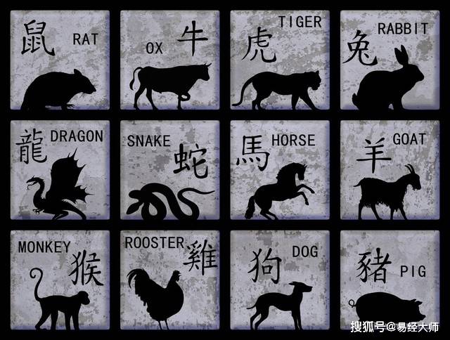 新澳特碼，羊?；⒏鲾?shù)10的獨(dú)特魅力與解析，新澳特碼，羊?；⒏鲾?shù)10的獨(dú)特魅力深度解析