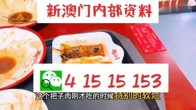 澳門王中王六碼新澳門，探索與解析，澳門王中王六碼新澳門，深度探索與解析