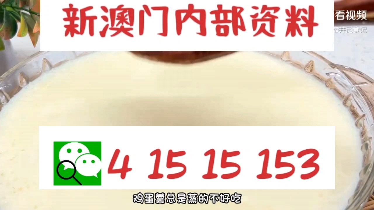 新澳門中特網(wǎng)中特馬，探索與解析，澳門中特馬探索與解析指南
