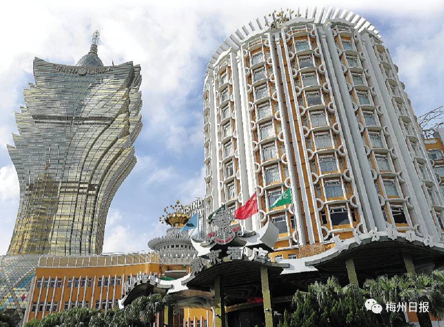 新澳門最精準——探索澳門的精準旅游魅力，澳門精準旅游魅力探索之旅