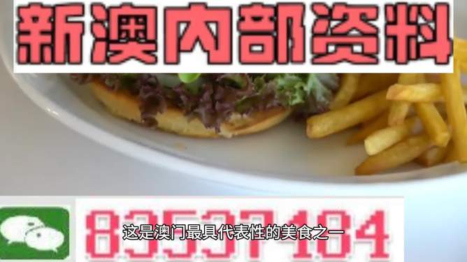 新澳2024生肖最新資料解析與預(yù)測，新澳2024生肖解析與預(yù)測報告