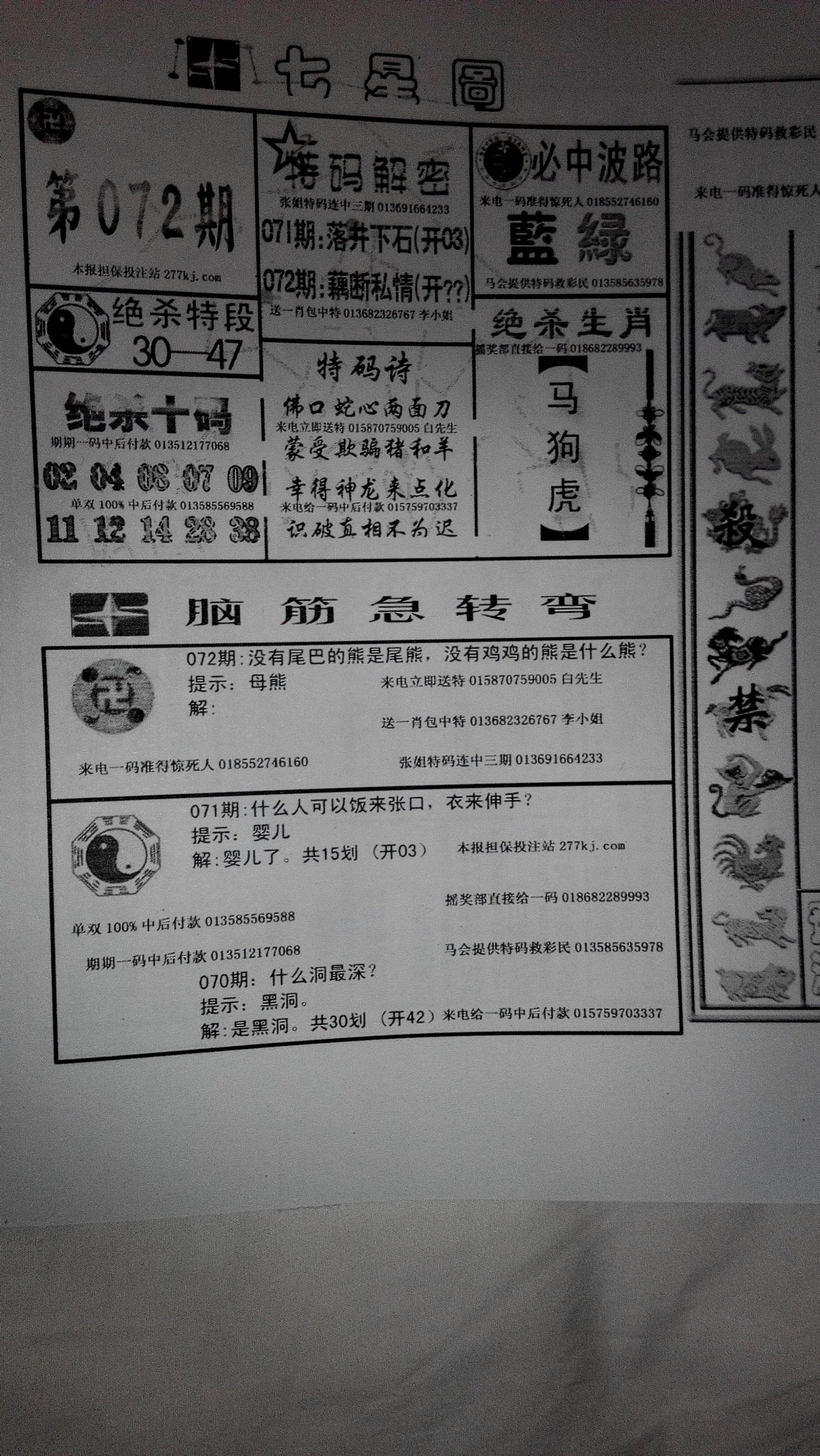 王中王4期指一生肖，探尋背后的秘密與意義，王中王4期生肖背后的秘密與意義探尋