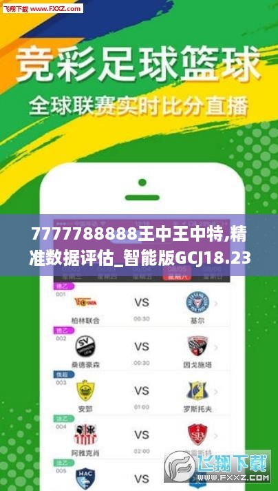 王中王一句中平肖，探尋背后的奧秘與意義，王中王一句中平肖，背后的奧秘與意義探尋