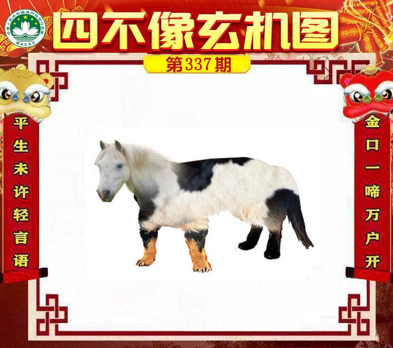 王中王四不像肖一肖中特，探索神秘現(xiàn)象背后的真相，神秘現(xiàn)象背后的真相探索，王中王四不像肖一肖中特揭秘