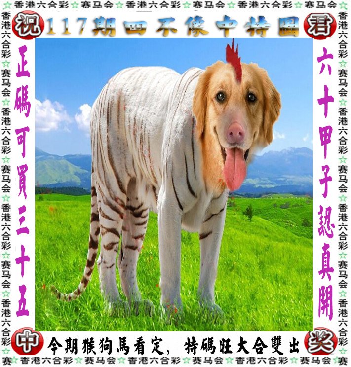 王中王四不像一肖論壇，探索神秘論壇的世界，王中王四不像一肖論壇，神秘論壇世界的探索之旅