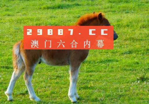 澳門(mén)答家婆一肖一馬一中一特，揭秘背后的秘密與獨(dú)特文化魅力，澳門(mén)文化魅力深度解析，答家婆一肖一馬一中一特的獨(dú)特傳統(tǒng)與秘密