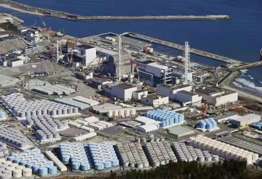 澳門今晚必開一肖81期，探索生肖運勢與預測的秘密，澳門生肖運勢揭秘，探索生肖預測與81期必開一肖的神秘面紗