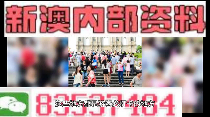 新澳106期資料詳解與探索，新澳106期資料深度解析與探索