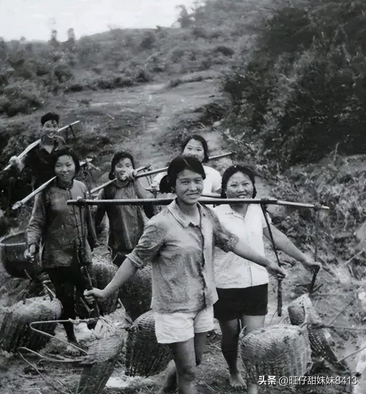 關(guān)于49圖庫(kù)圖片資料的專業(yè)解析與探索，49圖庫(kù)圖片資料深度解析與探索