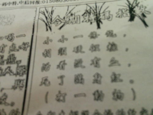 劉伯溫特一肖王中王，傳奇人物與生肖之王的神秘結(jié)合，劉伯溫生肖傳奇，傳奇人物與生肖之王的神秘交融