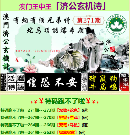SEO洞察揭秘