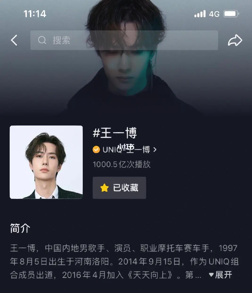 王中王一肖內(nèi)部資料詳解，王中王一肖內(nèi)部資料深度解析