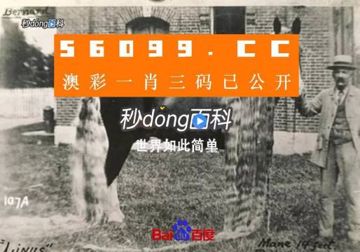 澳門王中王心水王中王，探索與解析，澳門王中王心水奧秘，深度探索與解析