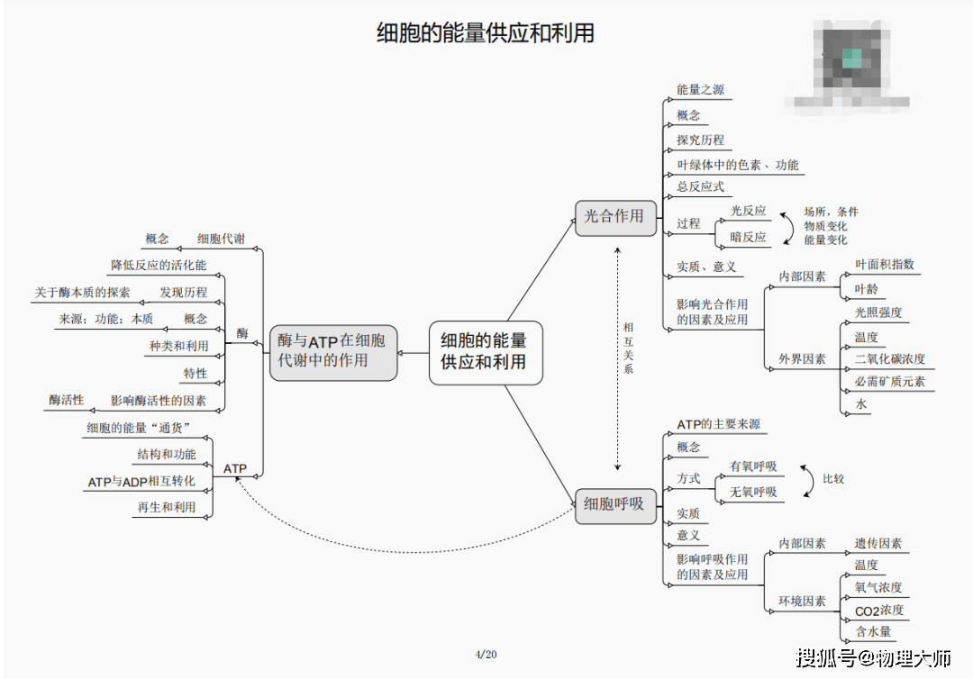 揭秘劉伯溫四肖三期內(nèi)必出一，神秘預(yù)言背后的真相，劉伯溫四肖三期預(yù)言真相揭秘，神秘預(yù)言背后的必然與偶然