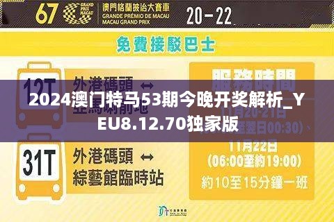 澳門(mén)今晚活動(dòng)盛宴，探索2025年的精彩活動(dòng)，澳門(mén)今晚盛宴活動(dòng)，探索未來(lái)精彩活動(dòng)，展望2025年風(fēng)采
