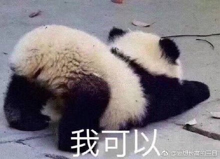 澳門精準(zhǔn)四不像