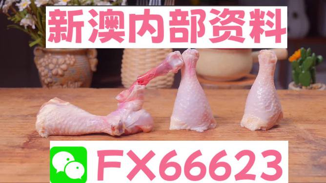 澳門一碼精準(zhǔn)預(yù)測