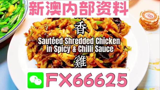 新奧天天精準(zhǔn)資料大全，全方位解讀與應(yīng)用指南，新奧天天精準(zhǔn)資料大全，全方位解讀與應(yīng)用指南手冊