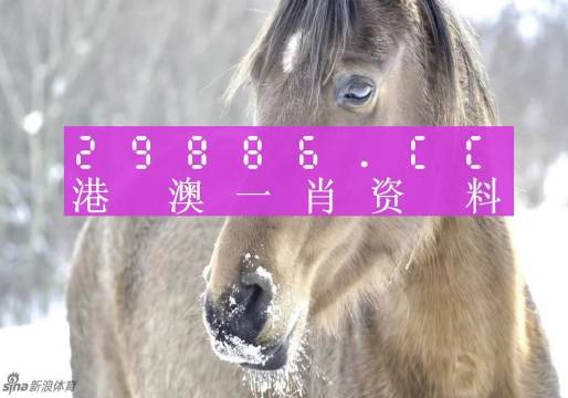 揭秘最準(zhǔn)一肖一碼，探尋神秘的生肖預(yù)測(cè)奧秘，揭秘生肖預(yù)測(cè)真相，最準(zhǔn)一肖一碼探尋記