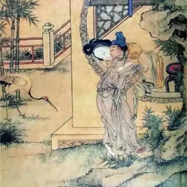 劉伯溫臼小女旦一肖中——探尋神秘預(yù)言背后的故事，劉伯溫預(yù)言之謎，臼小女旦一肖中的神秘故事