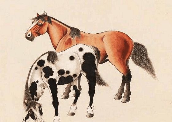 馬一王中王特平一肖圖，深度解析與SEO優(yōu)化策略，深度解析馬一王中王特平肖圖，SEO優(yōu)化策略探討