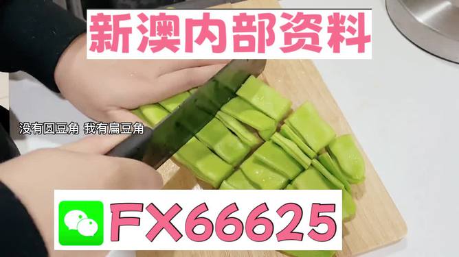 新澳精選資料免費(fèi)提供，探索優(yōu)質(zhì)資源的海洋，新澳精選資料免費(fèi)探索，優(yōu)質(zhì)資源海洋的開啟