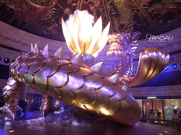 澳門(mén)無(wú)錯(cuò)七尾，探索與解析，澳門(mén)無(wú)錯(cuò)七尾，深度探索與解析