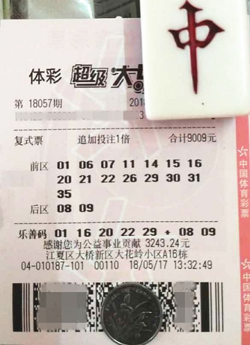 澳門六開彩天天開獎結(jié)果查詢，輕松掌握最新動態(tài)，澳門六開彩最新開獎結(jié)果查詢，輕松掌握每日動態(tài)
