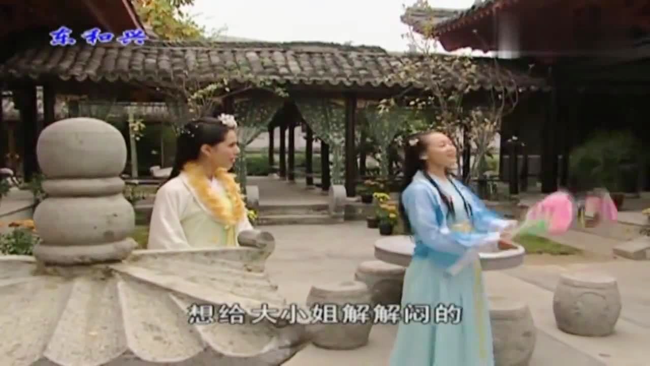 劉伯溫白小姐一肖期期準，神秘預測背后的真相，劉伯溫白小姐生肖預測揭秘，神秘預測背后的真相