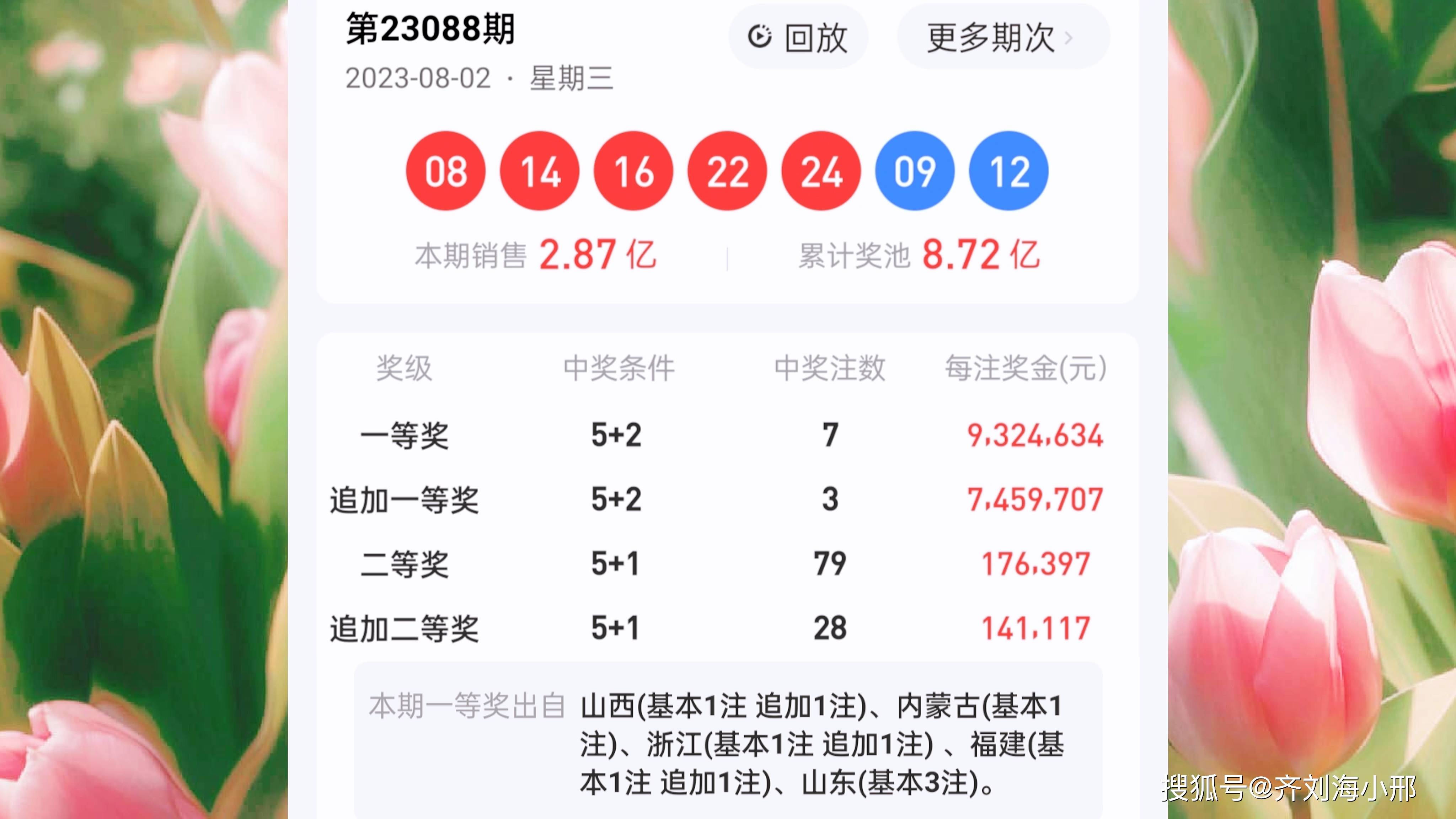 最新開(kāi)獎(jiǎng)結(jié)果揭曉，王中王與一肖中的幸運(yùn)時(shí)刻，王中王與一肖中幸運(yùn)時(shí)刻揭曉，最新開(kāi)獎(jiǎng)結(jié)果出爐