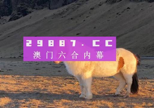 澳門彩六開獎結(jié)果第52期，深度解析與預(yù)測分析，澳門彩六第52期開獎結(jié)果深度解析與預(yù)測分析