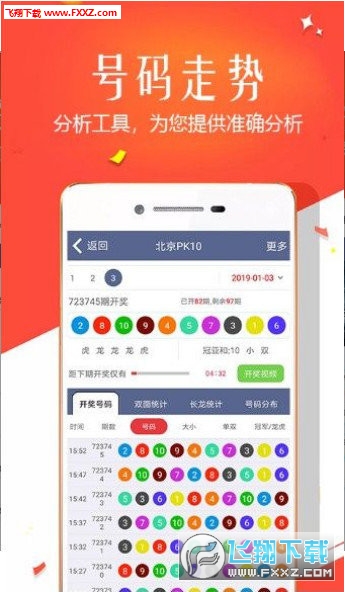 王中王四肖選一，揭秘選擇與優(yōu)化策略，王中王四肖選一，選擇與優(yōu)化策略的揭秘